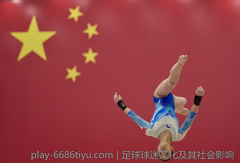 足球球迷文化及其社会影响