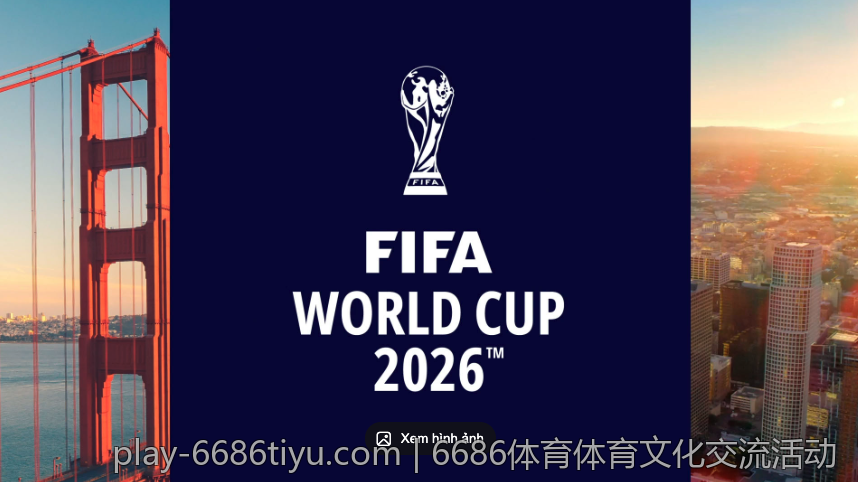 6686体育app用户如何评价其服务质量