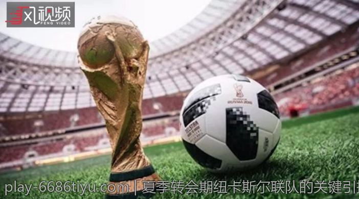 夏季转会期纽卡斯尔联队的关键引援盘点